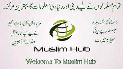 What Is Selling on Big Shop In Market