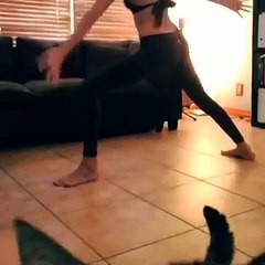 Kızın Videosunu Trolleyen Kedi