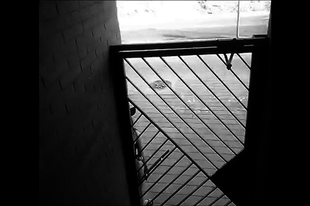 Verano 16