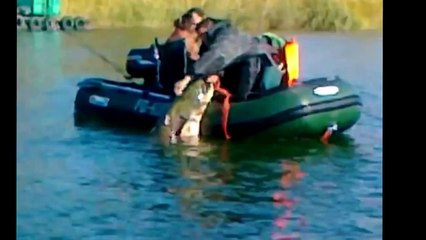 Funny fishing stories