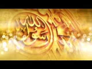 Muhammad Tahir Qadri - Sarkar Ka Nokar Hun - Sarkar Ka Nokar Hun 2017
