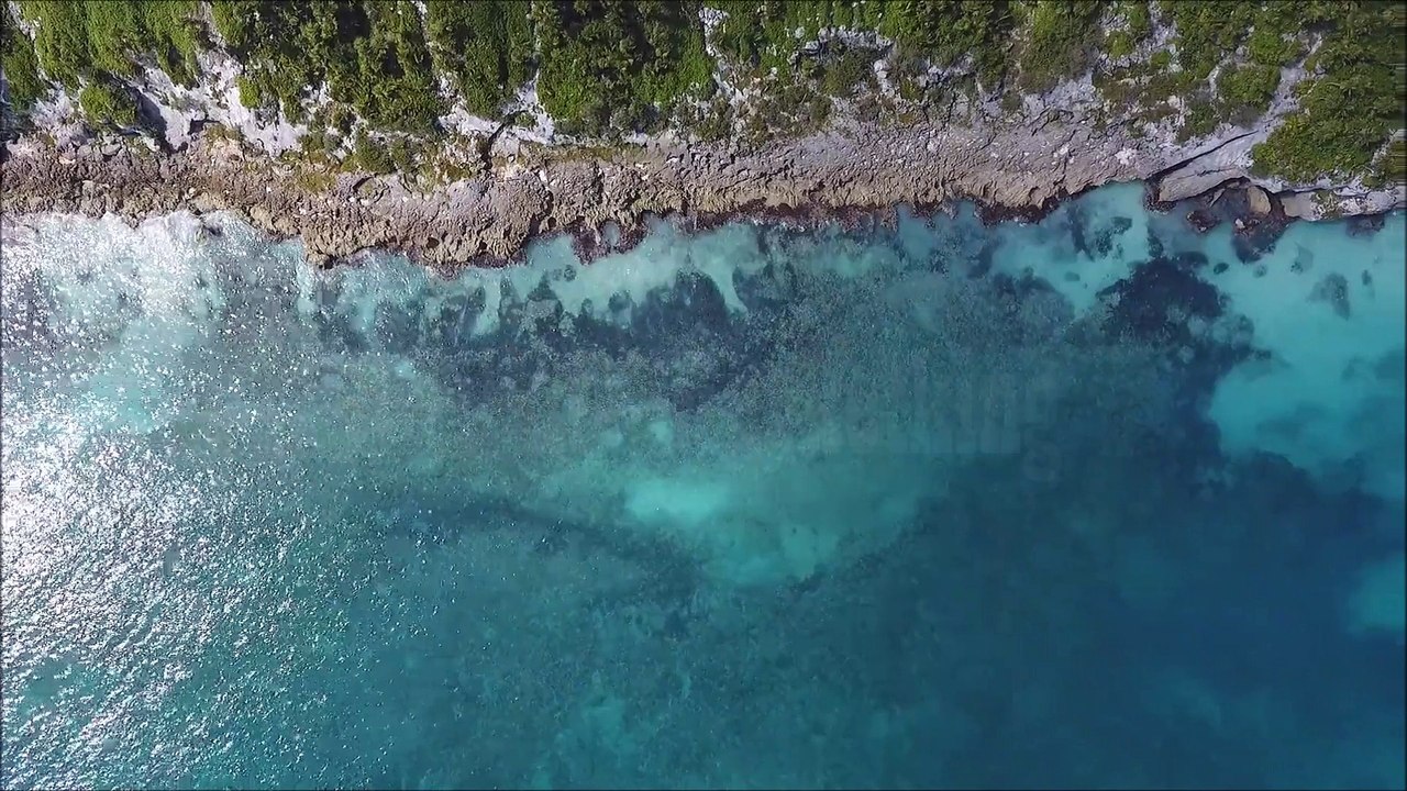 Affiliate-Marketking