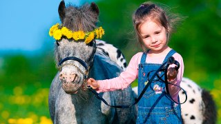 Kid And Horse Are Friends - Funny Baby Compilation