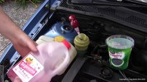 Simple how to - Ford Focus power steering fluid changeasd