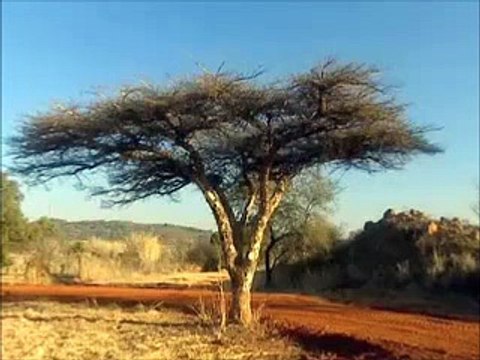 Le meurtre était presque parfait