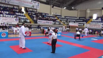 Türkiye Kulüpler Karate Şampiyonası Sona Erdi