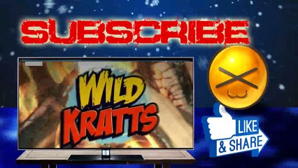 Wild Kratts - Masked Bandits