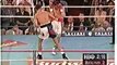 Oscar De La Hoya vs Julio Cesar Chavez by MMA BOXING MUAY THAI 1996 06 07