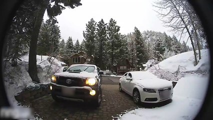 Un conducteur découvre un bébé ours dans sa voiture !