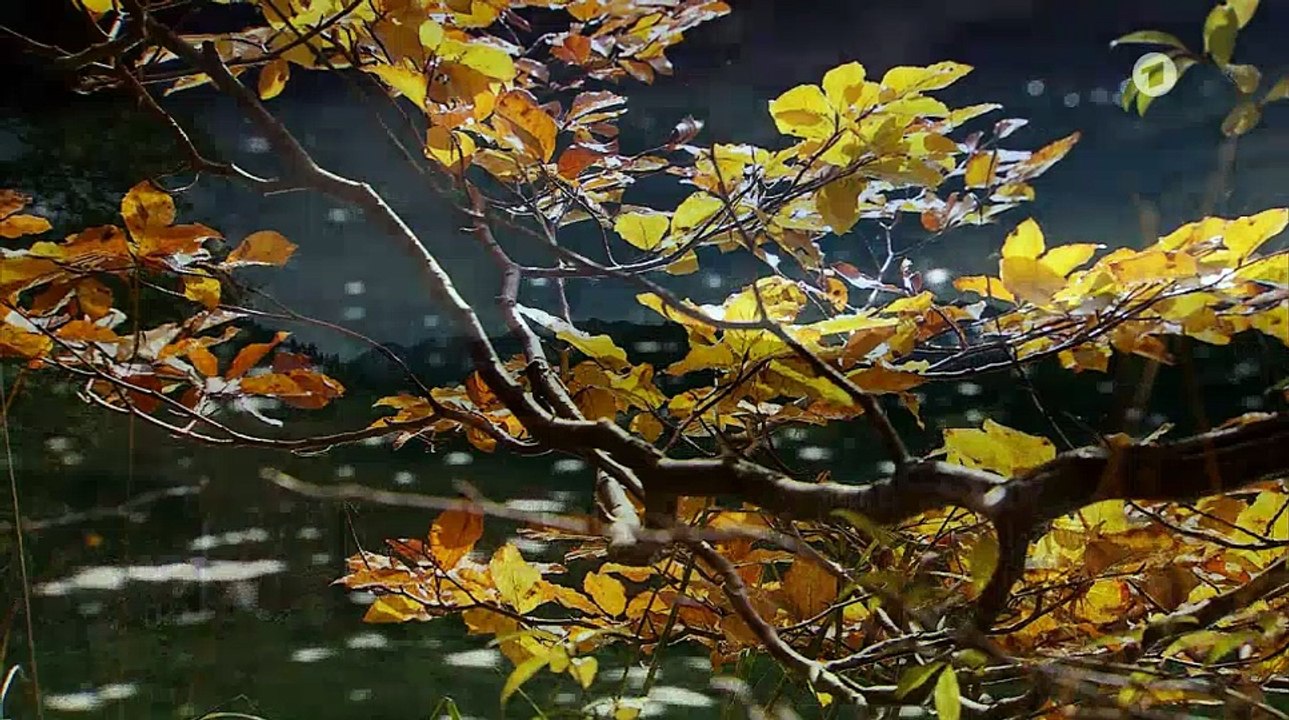 Die schönsten Momente: Marlene und Konstantin