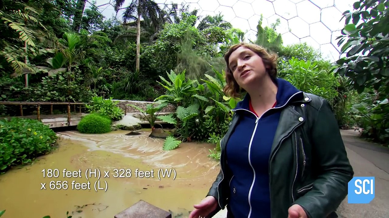The Eden Project Houses Multiple Ecosystems In These Incredible Geodesic Domes