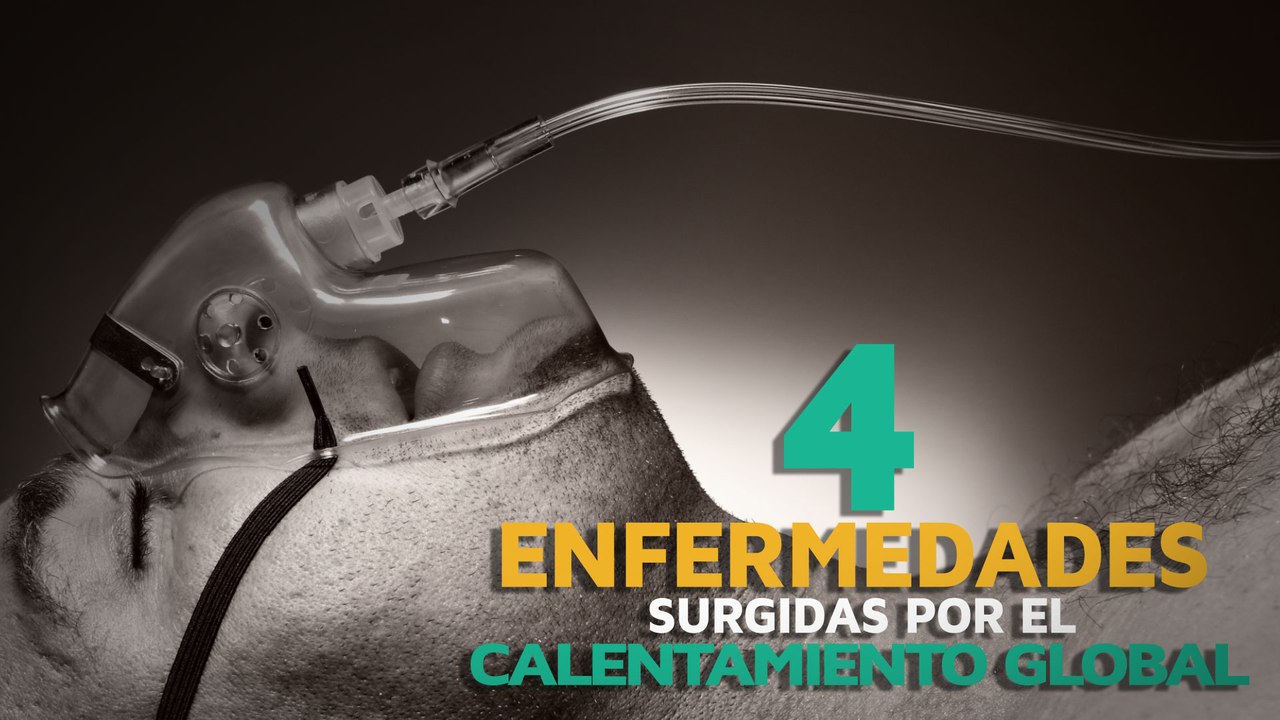 4 Enfermedades surgidas por el calentamiento global