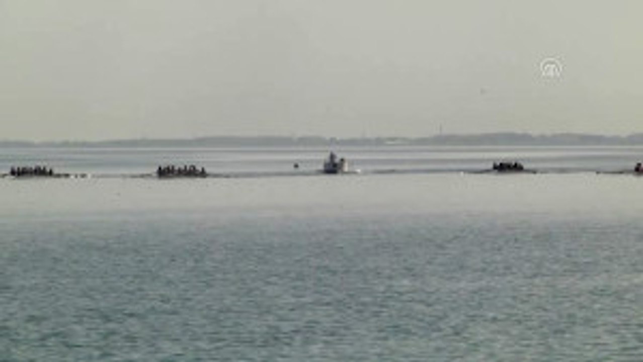 Kürek: Büyükler Türkiye Şampiyonası