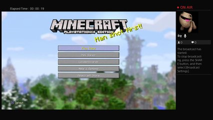 Minecraft Part4 (11)
