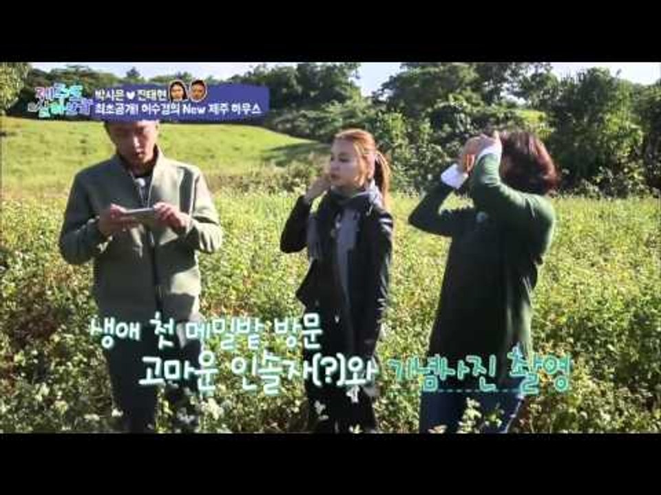 제주도의 메밀 꽃 필 무렵 [제주도 살아보기] 6회 20151129