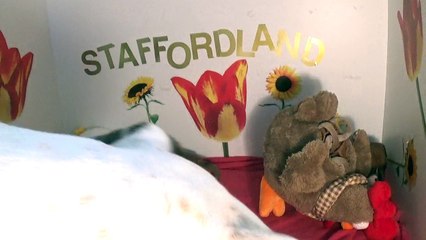 37ème Vidéo Maman et ses P'tits Oeufs de Staffordland