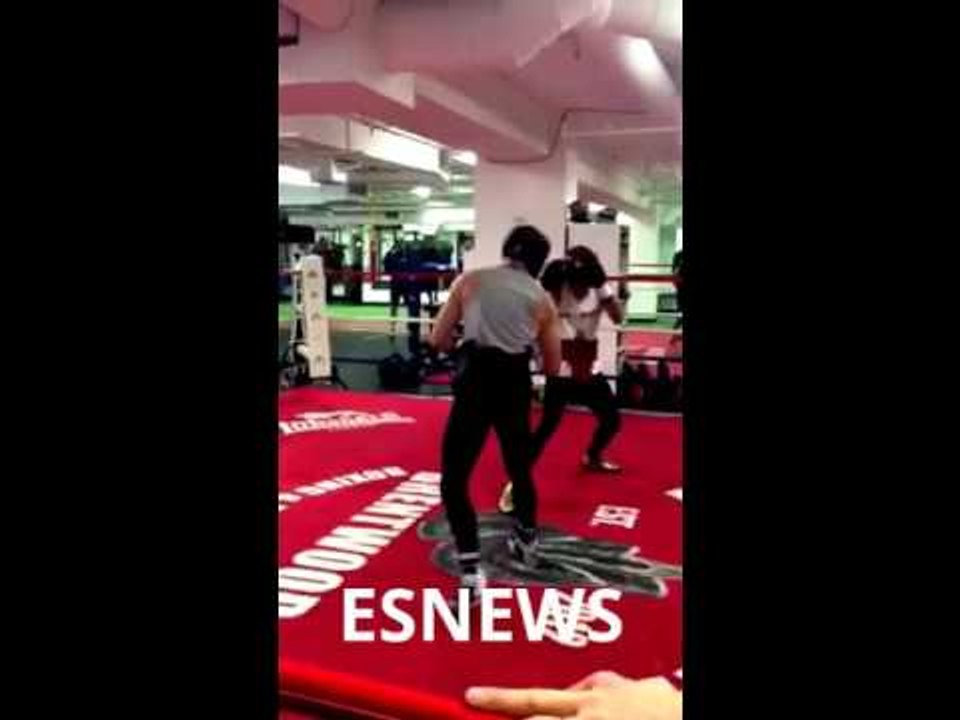 UFC Fighter Conor McGregor Sparring Boxing Star Chis Van Heerden - MMA vs Boxing