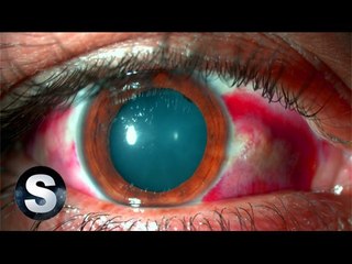 5 DROGAS PELIGROSAS QUE NUNCA HAS ESCUCHADO - Space Records -