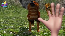 Finger Family of Wolves  _ Wolf Finger Family Song _ Finger Family Songs for Kids-xnjY