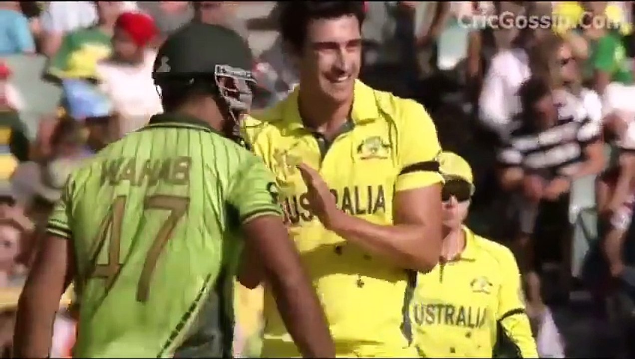 Australia may see Stark and team Wahab Riaz furious response -