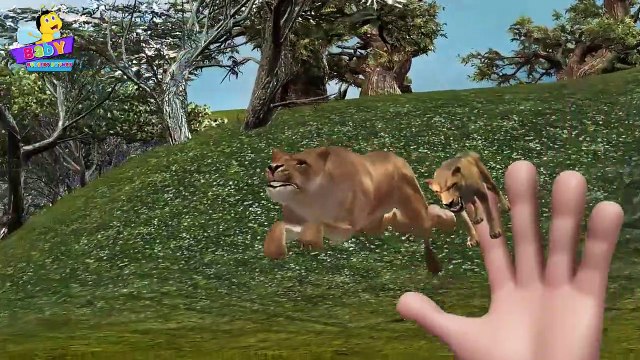 Lion Finger Family 3D _ Animals Cartoons Finger Family Children Nurs