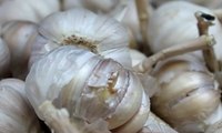 Harga Bawang Putih di Dalam Negeri Meroket