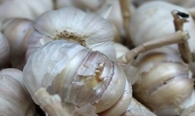 Harga Bawang Putih di Dalam Negeri Meroket