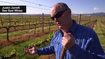 Climate change battle heats up for winemakers