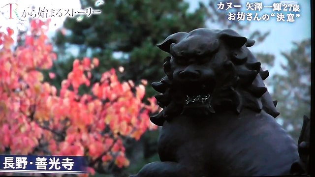 リオ❗️矢澤一輝選手:お坊さんカヌー選手❗️３度目のオリンピックに挑戦したお坊さん,ロンドンで９位だったので諦めてお坊さんになったが選考会で代表に選ばれた