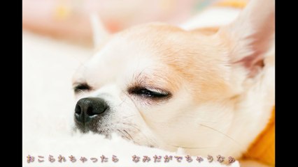 麻田義貴オススメ曲！　麻田義貴 (7)