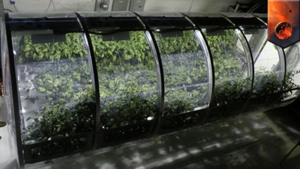 NASA develops Lunar greenhouse that could be used on Mars