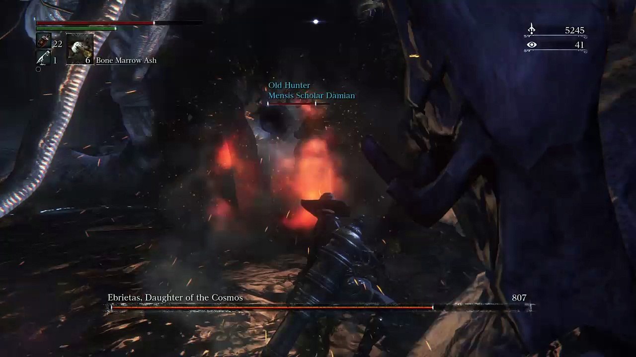 Bloodborne™_20170515024942