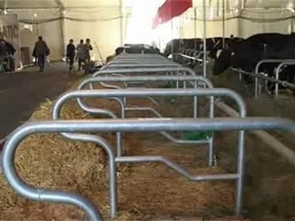 Concours national Prim'Holstein V1