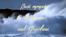 Best moments in Hermanus and Gansbaa