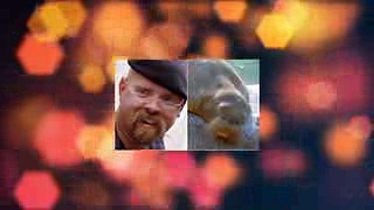 10 Animales Que Se Parecen A Famosos!