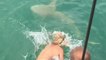 Un pêcheur saute dans l'eau pour maîtriser un requin
