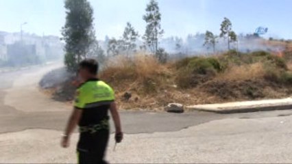 Bodrum'da Makilik Alanda Yangın