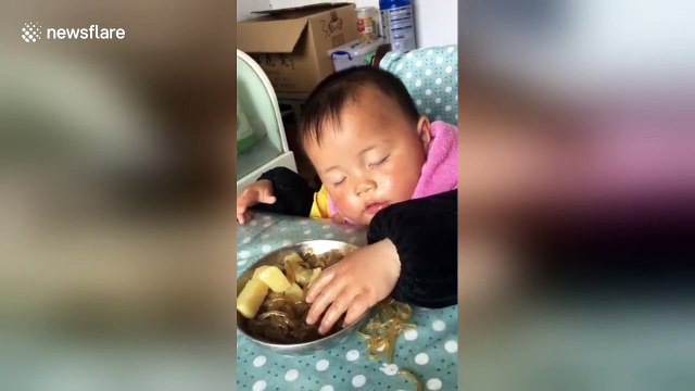Toddler falls asleep while eating noodles