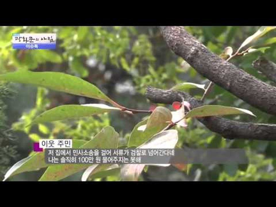 감나무 때문에 원수가 된 사람들?! [광화문의 아침] 107회 20151109