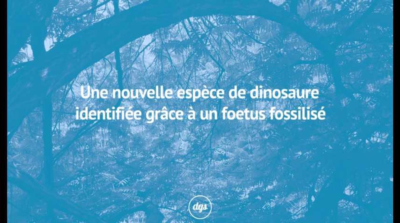 Une nouvelle espèce de dinosaure identifiée grâce à un foetus fossilisé