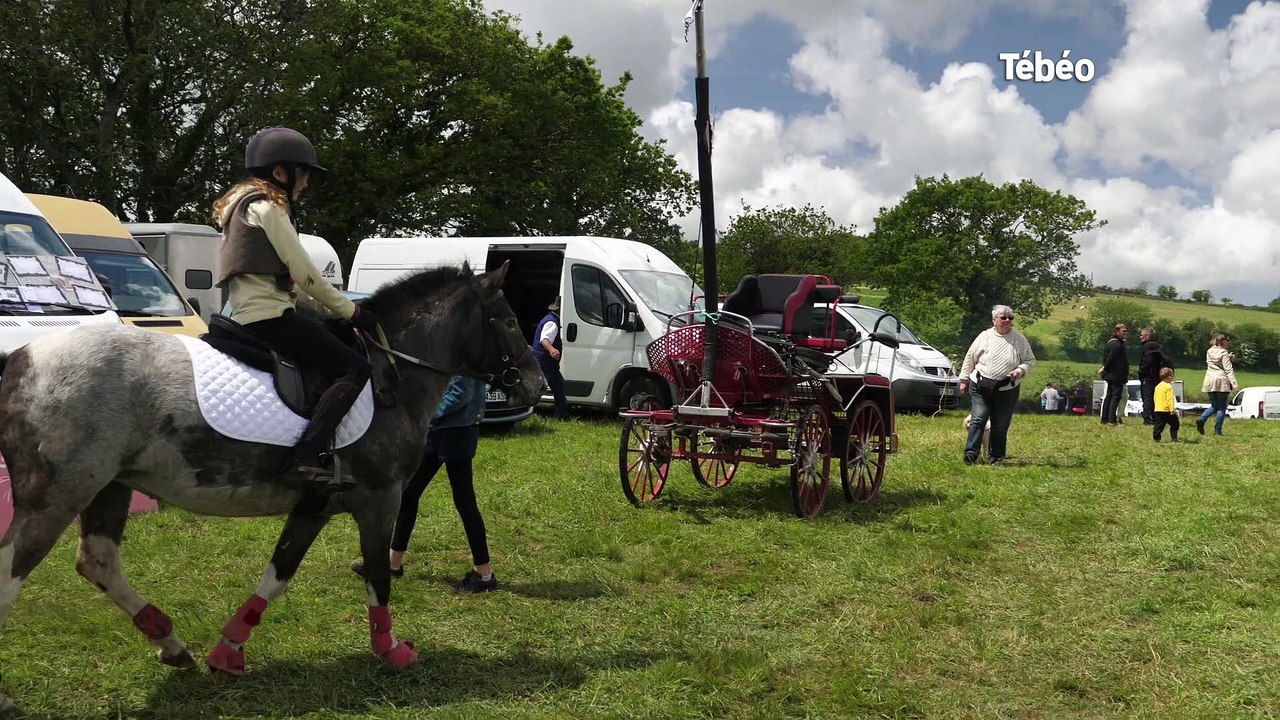 Tréouergat (29). Carton plein pour la fête du cheval