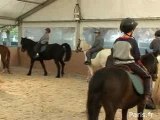 Un centre équestre éphémère pour découvrir le cheval