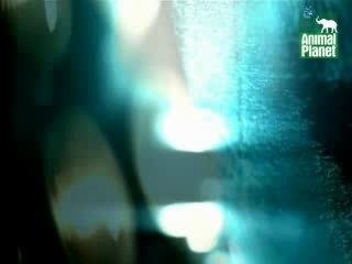 Milko feat. Preslava - The Way I Are