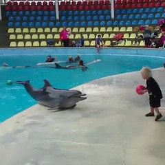 Dophain quitte la piscine et jouer avec un enfant.