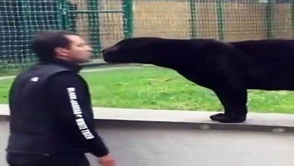 Friendship And Trust With Dangerous And Killer Animals