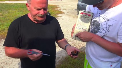 Western side of Sithonia