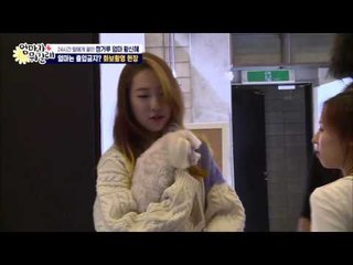 황신혜, 나 네 엄마 아냐! [엄마가 뭐길래] 1회 20151105