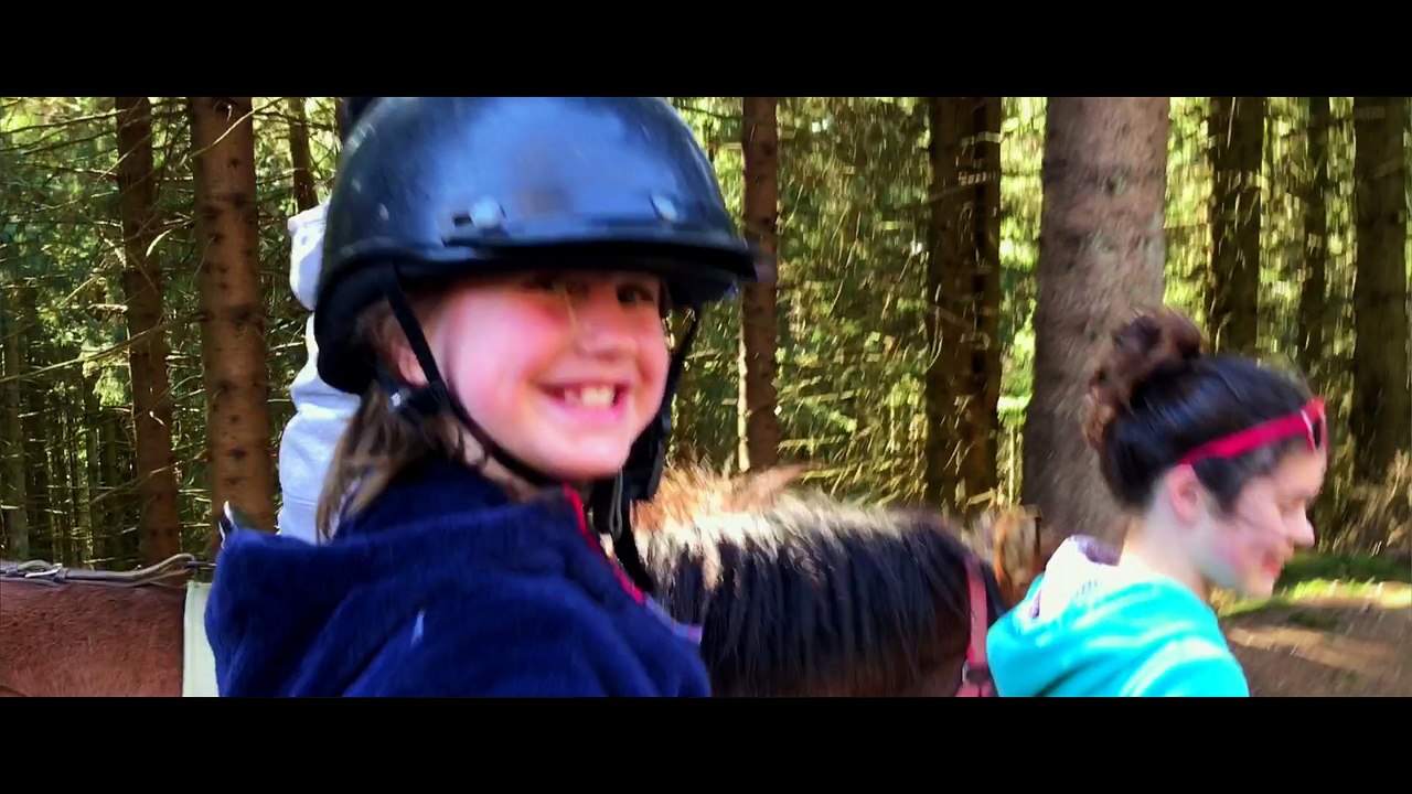 Chalet des Alpes - Chalet des Alpes