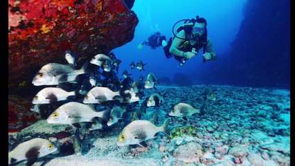 Keny - Fernando de Noronha 2017