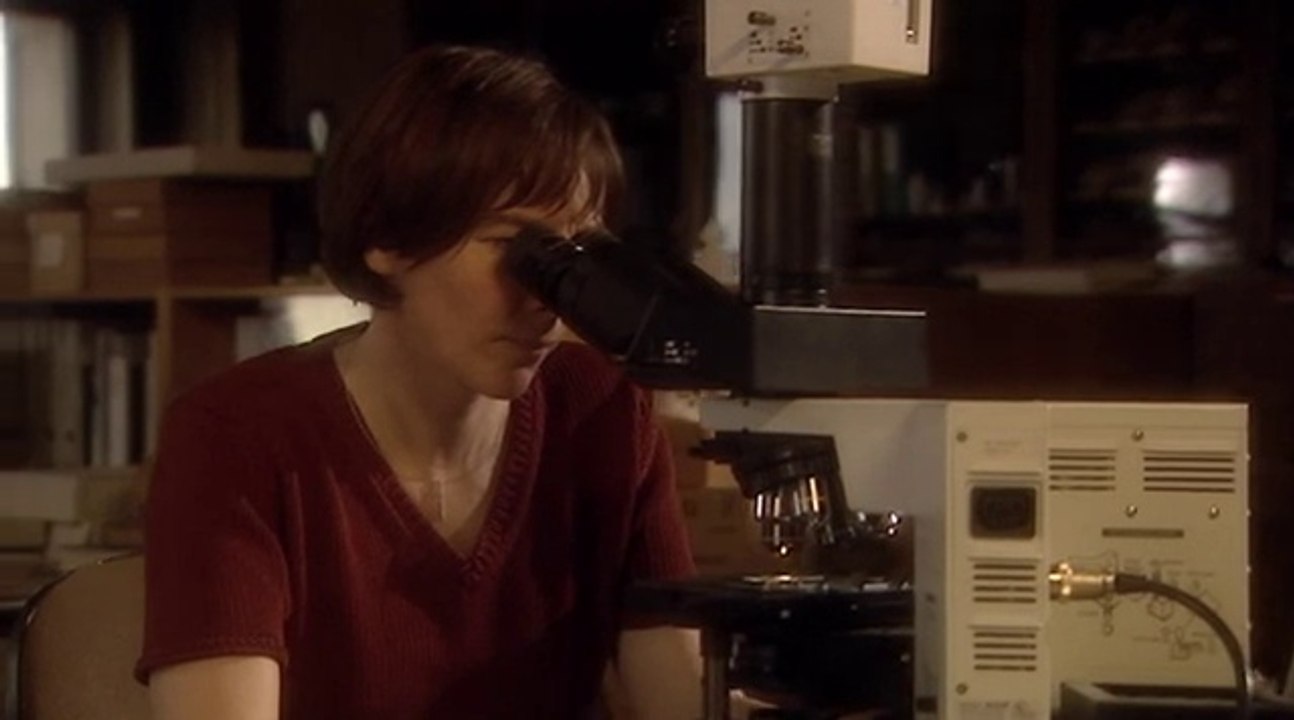 Europe in the Middle Ages (3of4) Peasants and Nobles